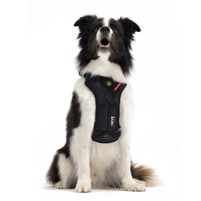 EzyDog Drive car harness front view with SR buckles and chest plate