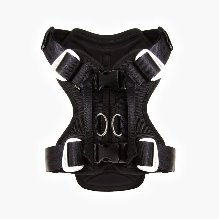 EzyDog Drive car harness back view showing seat belt handles