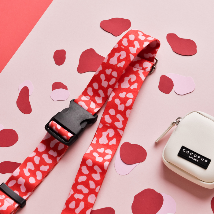 Red and pink leopard print bum bag strap with black buckle beside a white pouch on a pink background.