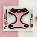 Farmhouse Dusty Pink Adjustable Neck Harness, Lead & Collar Bundle