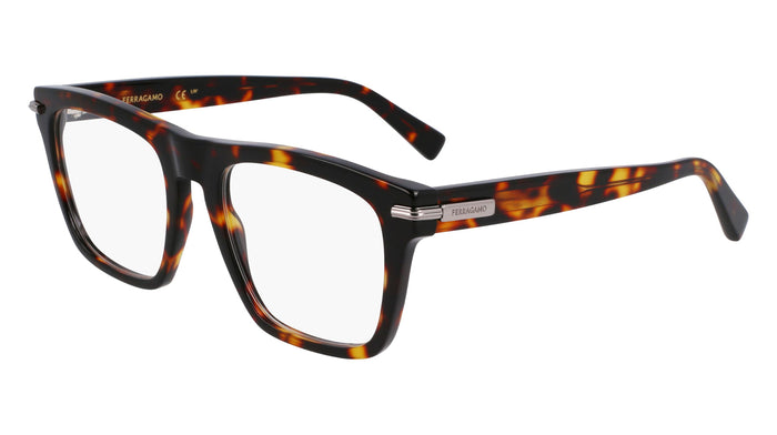 Dark Tortoise / 53