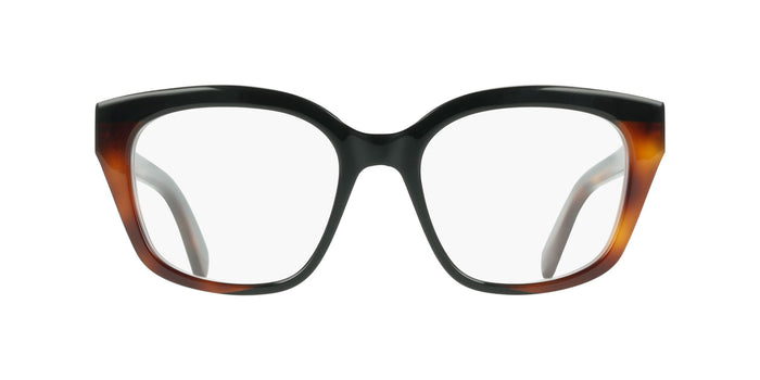 #colour_black-tortoise