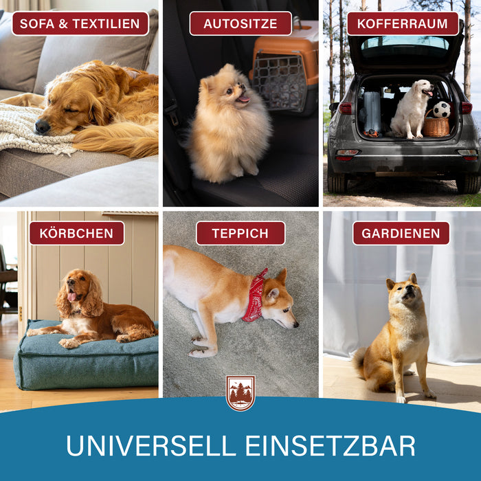 Sechs Einsatzorte mit Hunden: Sofa und Textilien, Autositze, Kofferraum, Körbchen, Teppich und Gardinen