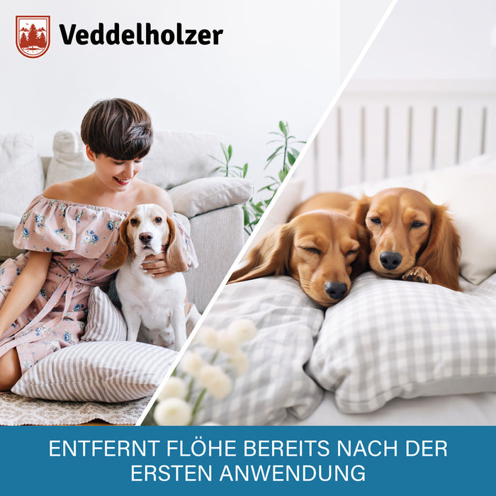 Frau sitzt mit Beagle am Sofa, daneben zwei Langhaardackel auf der Bettdecke – wirkt schon nach der ersten Anwendung