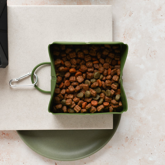 Khaki Cocopup London foldable travel bowl with dry food next to a green plate on a beige surface.