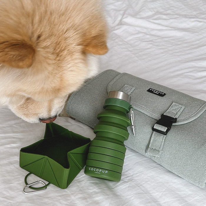 Fluffy dog sniffs khaki Cocopup London foldable travel bowl next to a rolled grey mat on a white surface.