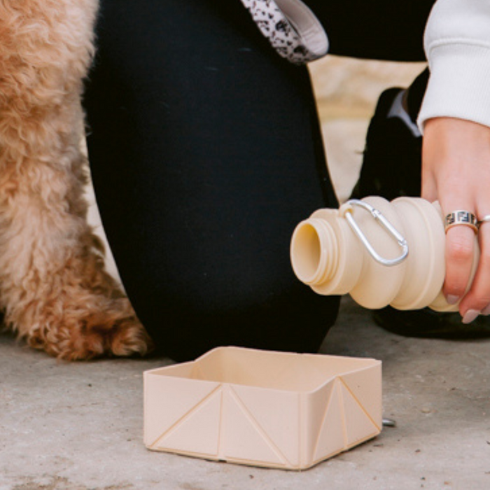 Hand pouring water from a nude Cocopup London foldable travel bowl next to a dogs paw.