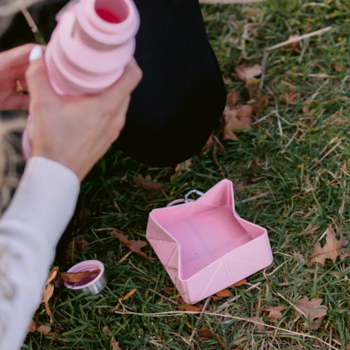 Pink Cocopup London foldable travel bowl being filled with water on grassy ground with scattered autumn leaves.