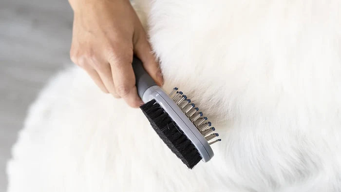 FURminator Dual Grooming Brush being used on a dog's coat