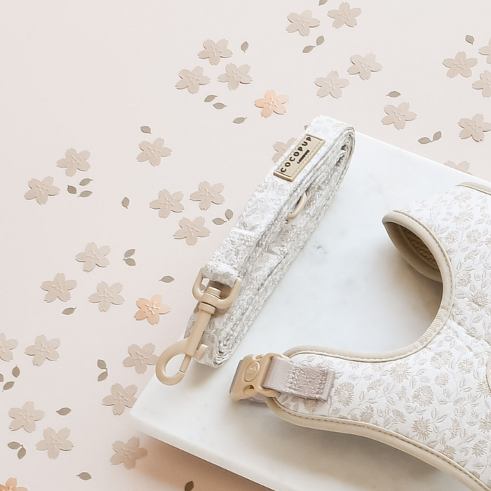 A Luxe Garden Meadow Adjustable Neck Harness, Lead & Collar Bundle by Cocopup London is arranged on a white slab against a pale background adorned with subtle floral motifs. The lead features a metal clasp, and the adjustable neck harness has adjustable buckles. This set exudes a delicate, elegant aesthetic, making it the perfect choice for sophisticated dog walk accessories.