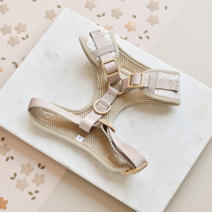 The Luxe Adjustable Neck Harness - Garden Meadow by Cocopup London, featuring a chic embroidered design in beige with adjustable straps, mesh padding, and floral lace detailing, is laid on a white marble surface. In the background, there's a light pink paper with gold flower cutouts on one side and a contrasting plain surface on the other.