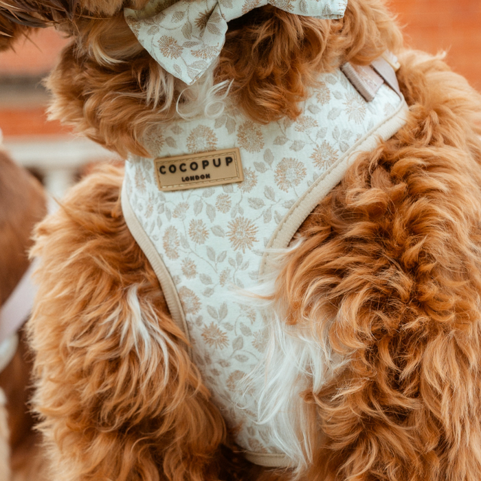 Close-up of a fluffy dog wearing the Luxe Adjustable Neck Harness - Garden Meadow featuring a chic embroidered design and adorned with a brown "Cocopup London" tag. The dog also sports a matching bow around its neck. The background is slightly blurred, showcasing an outdoor setting.