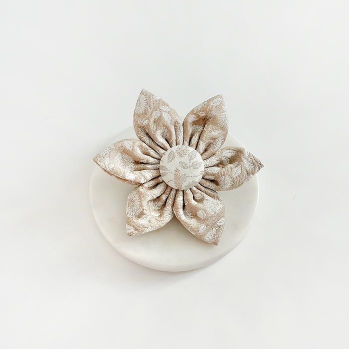 Beige Cocopup collar flower with textured leaf pattern, displayed on a round white surface.