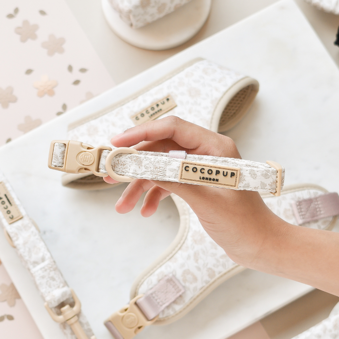 A hand holds a beige and white Luxe COLLAR - Garden Meadow by Cocopup London above matching pet accessories.