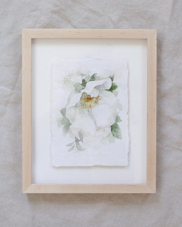 Garden Rose no.11 | Watercolor on Paper | 5x7"