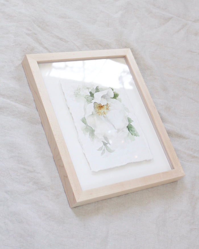 Garden Rose no.11 | Watercolor on Paper | 5x7"