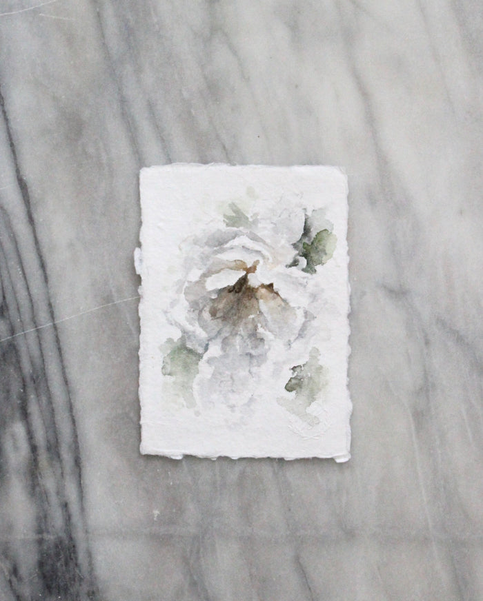 Garden Rose no.2 | 5x7