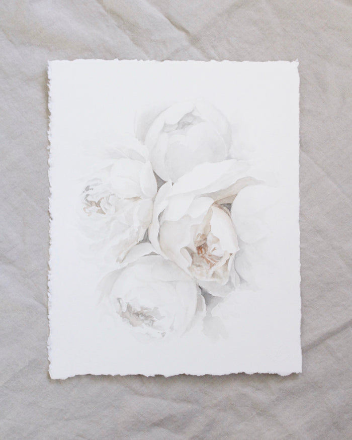 Garden Rose no.6 | 11x14