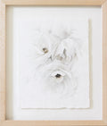 Garden Rose no.9 | 8x10