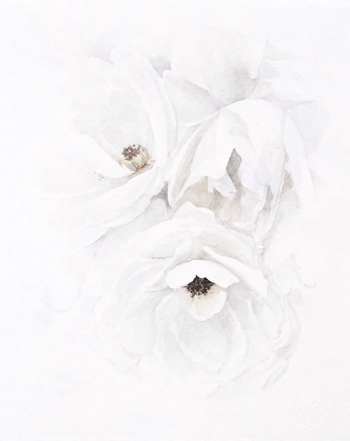 Garden Rose no.9 | 8x10