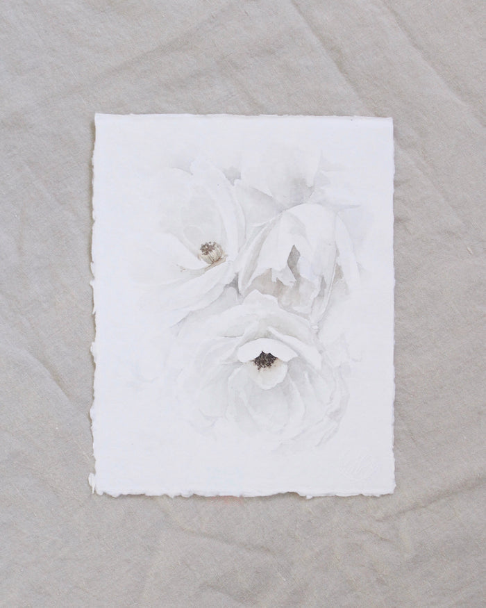 Garden Rose no.9 | 8x10