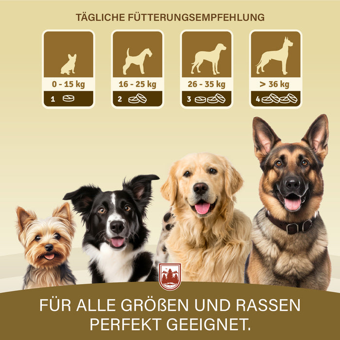 Gelenktabletten für Hunde – mit Grünlippmuschel & Glucosamin