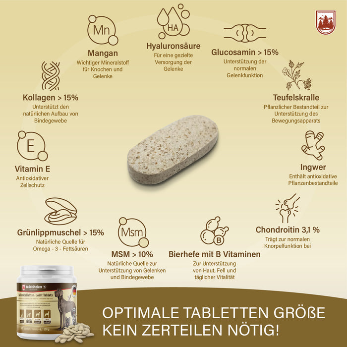 Gelenktabletten für Hunde – mit Grünlippmuschel & Glucosamin