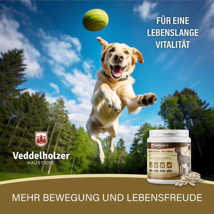 Gelenktabletten für Hunde – mit Grünlippmuschel & Glucosamin