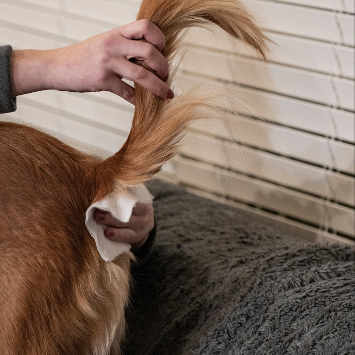 Gland Pet WiPees™