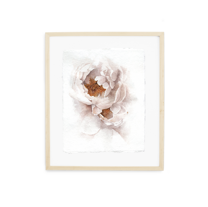 Golden Center Peony | 8x10