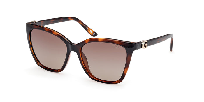 Dark Havana/Brown Polarised / 56