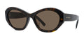 #colour_dark-havana-brown