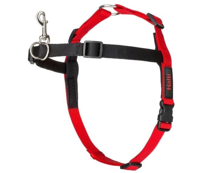 Halti Front Control Harness in black and red, product shot on white background