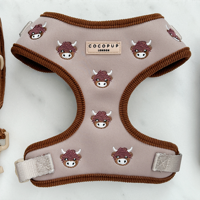 Light brown harness, lead, and collar bundle with Harold the Highland Cow design on a white background.