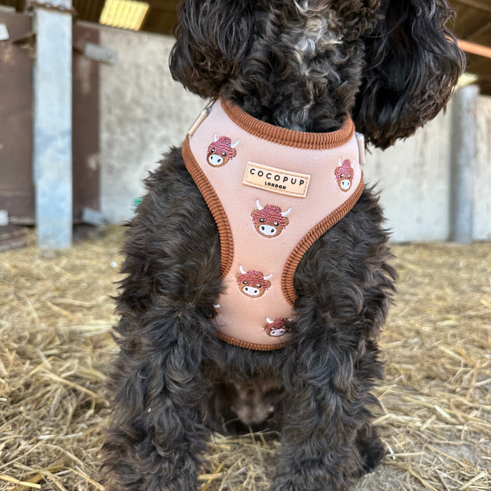 Curly-haired dog wearing a brown Cocopup London Highland Cow pattern harness sits on straw in a barn.