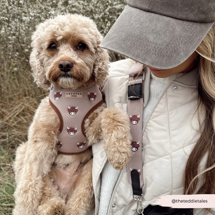 Woman in cap holds small dog in harness with brown and white Cocopup London bag strap, Highland Cow design.