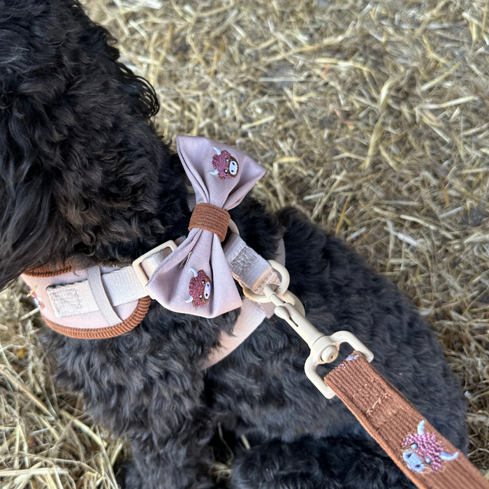 Black dog wearing a pink harness, brown cow-print bow tie, and matching leash, sitting on straw.