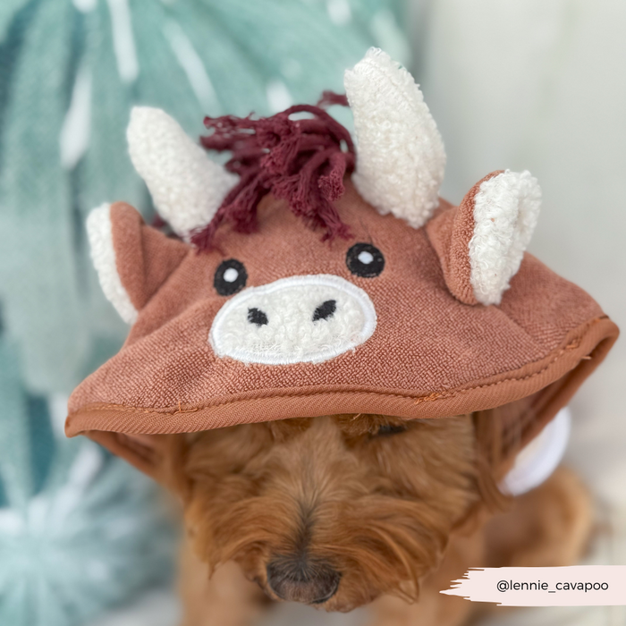 Small dog in a Cocopup London drying robe with brown fabric, cartoon cow face, and horns.