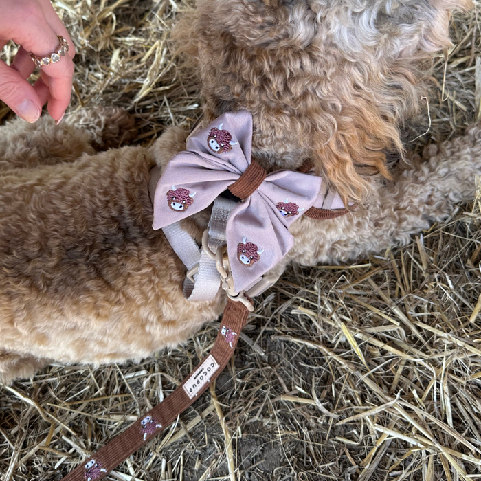 Curly golden dog wears a pink Cocopup sailor bow tie with Highland cow print and a brown Cocopup leash, sitting on hay.