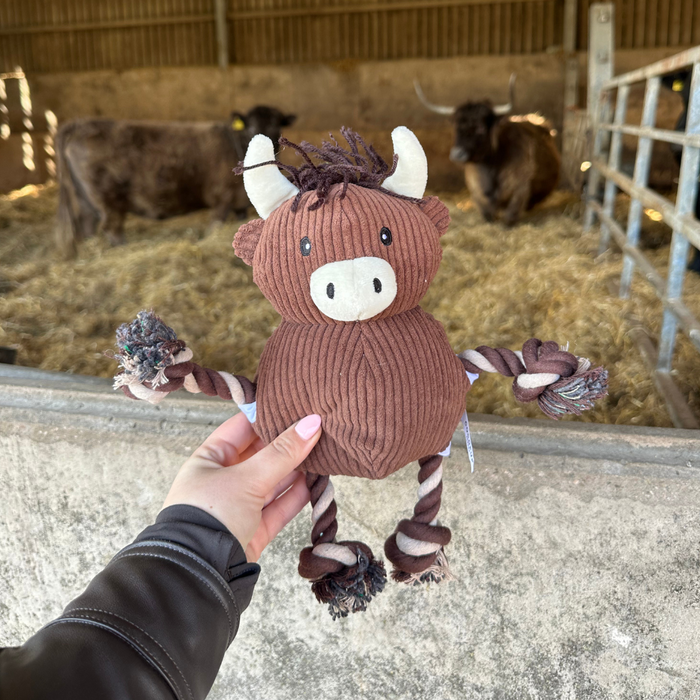 Hand holding a brown plush Highland Cow dog toy by Cocopup London in front of two cows sitting on straw.