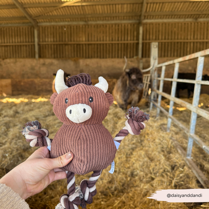 Hand holding Cocopup London’s brown plush cow toy in front of a yak in a barn with hay on the floor.