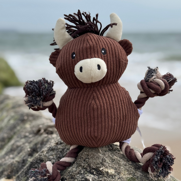 Plush Highland Cow toy with rope limbs by Cocopup London sits on a rock near the beach.