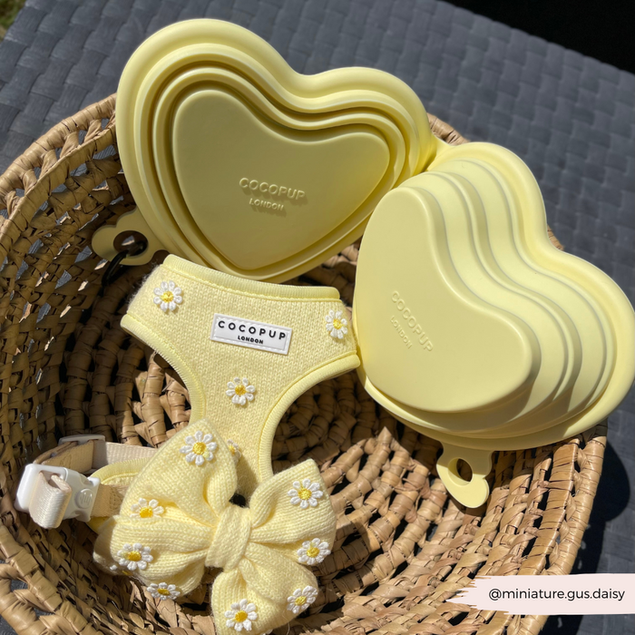 Butter yellow collapsible dog bowl with heart design from Cocopup London.