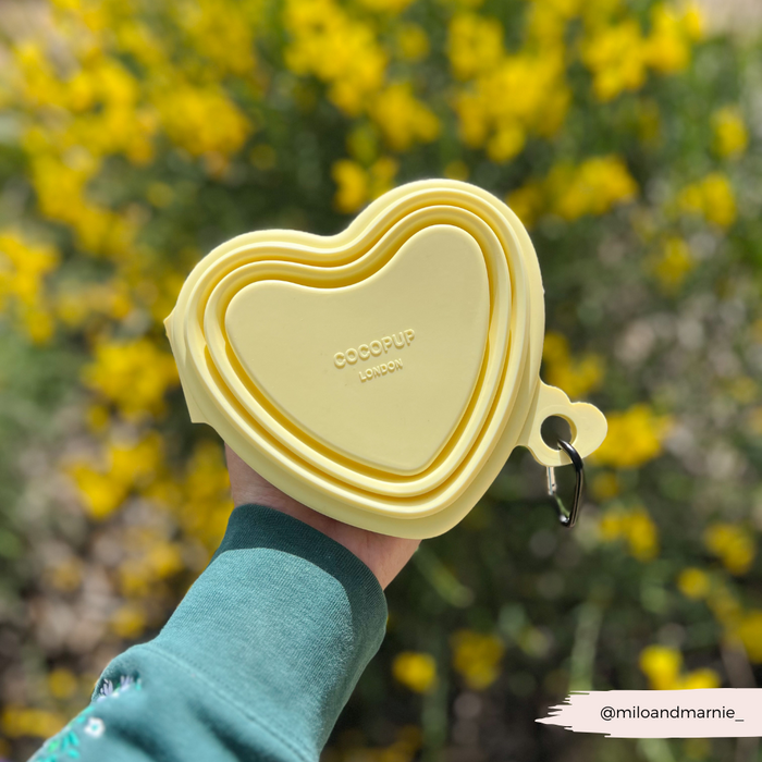 Hand holding a yellow heart-shaped collapsible pet bowl; yellow flowers in the blurred background.