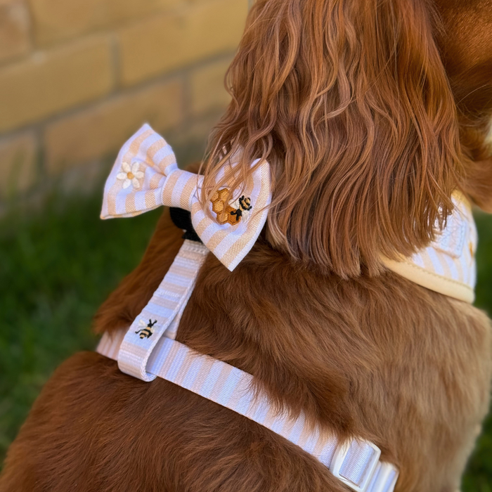 Dog wearing Cocopup London Honey Meadow bow tie with a floral pattern.