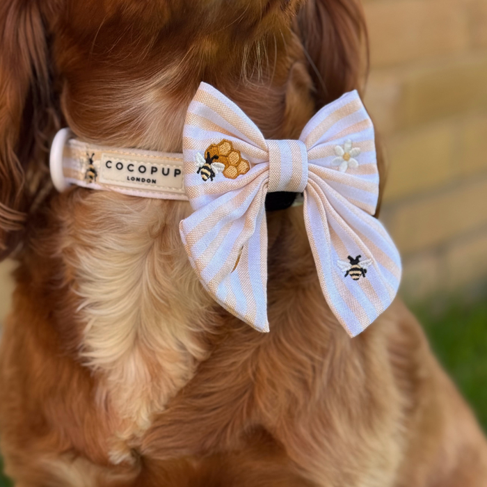 Dog with a Cocopup London collar and a yellow Honey Meadow sailor bow tie decorated with bee embroidery.