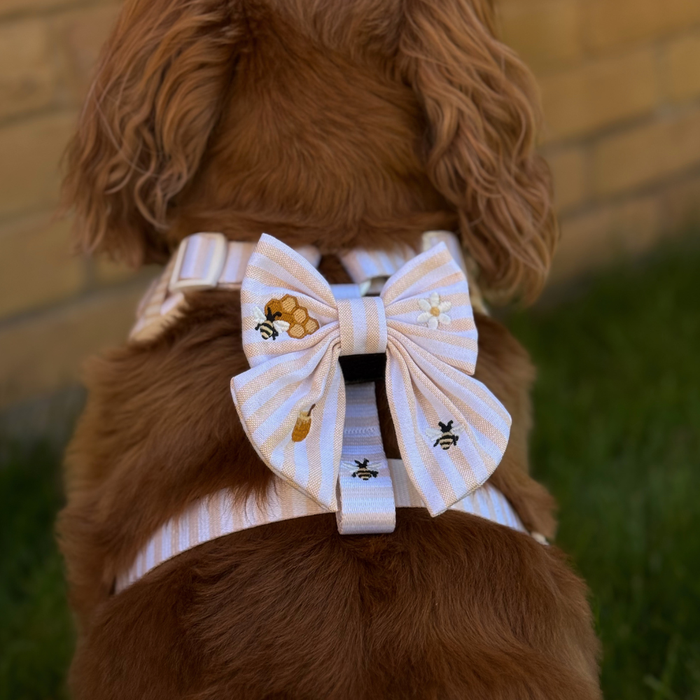 Brown dog wearing a Cocopup London Honey Meadow Sailor Bow Tie with yellow bees and honeycomb embroidery.