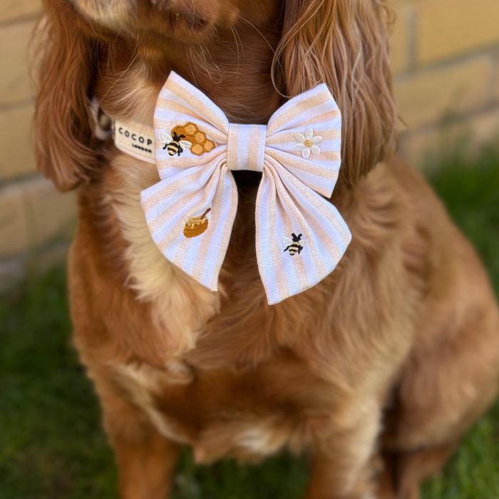Brown dog in a Cocopup London Honey Meadow Sailor Bow Tie with bee embroidery, sitting on grass near a brick wall.