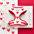 Dog harness, leash, and collar set with red hearts pattern on marble surface with heart-shaped accents in background.