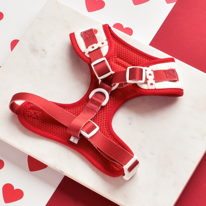 Red and white knitted adjustable neck harness by Cocopup London, shown on white with red heart patterns in the background.